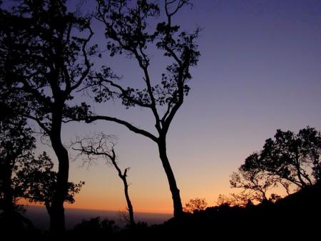 LA NUIT dans la camp